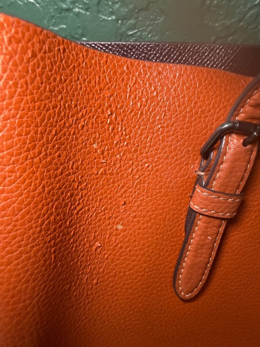 Coach Mollie Pebble Leather Tote Bag - Picture 13 of 15